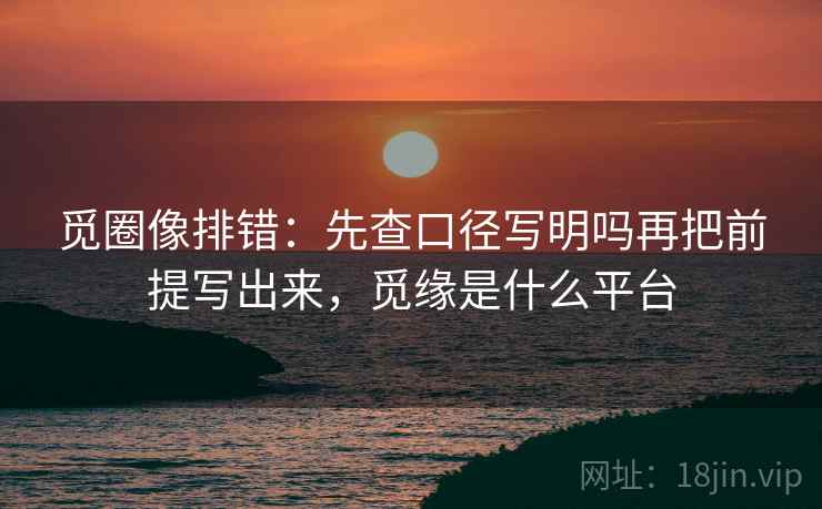 觅圈像排错：先查口径写明吗再把前提写出来，觅缘是什么平台